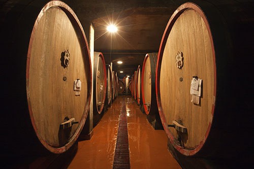 Barrique di legno presso una delle cantine di Castelli del Grevepesa